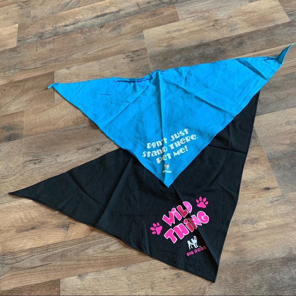 Big dogs set of 2 dog scarves